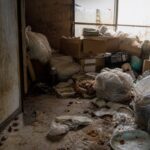 ゴミ屋敷のゴキブリ大量発生イメージ