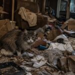 ゴミ屋敷でペットを飼う危険性　散乱したゴミの中で不安そうな犬