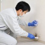 壁と床のカビ除去・防カビ清掃｜岐阜の専門スタッフによる作業イメージ