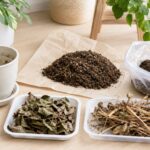 枯れた観葉植物の処分方法 土・植物・鉢を分別して処分する様子