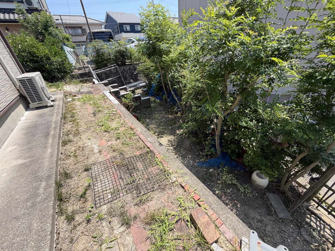 伐採前・外回り